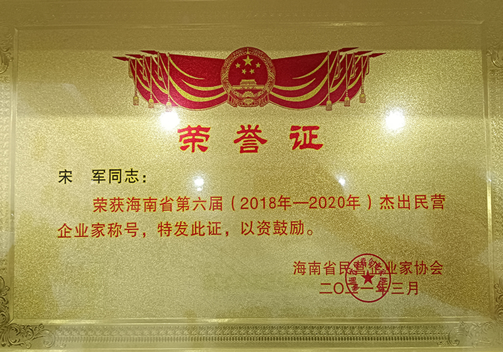 荣获海南省第六届杰出民营企业称号(图1)